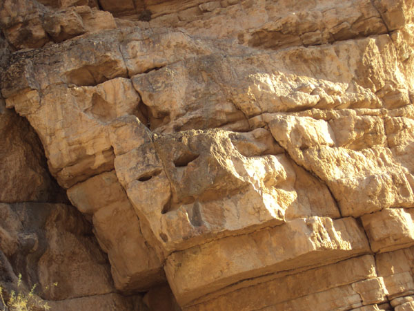 Каменное лицо на скале в гроте Кыкр-Гыз [Долгая Г.]