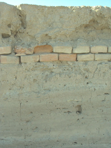 Кладка стены, Среди сырцовых кирпичей хорошо видны два ряда обожженных [Долгая Г,]
