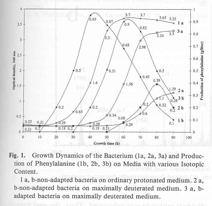 Growth dynamics of bacterium. [O.V.Mosin]