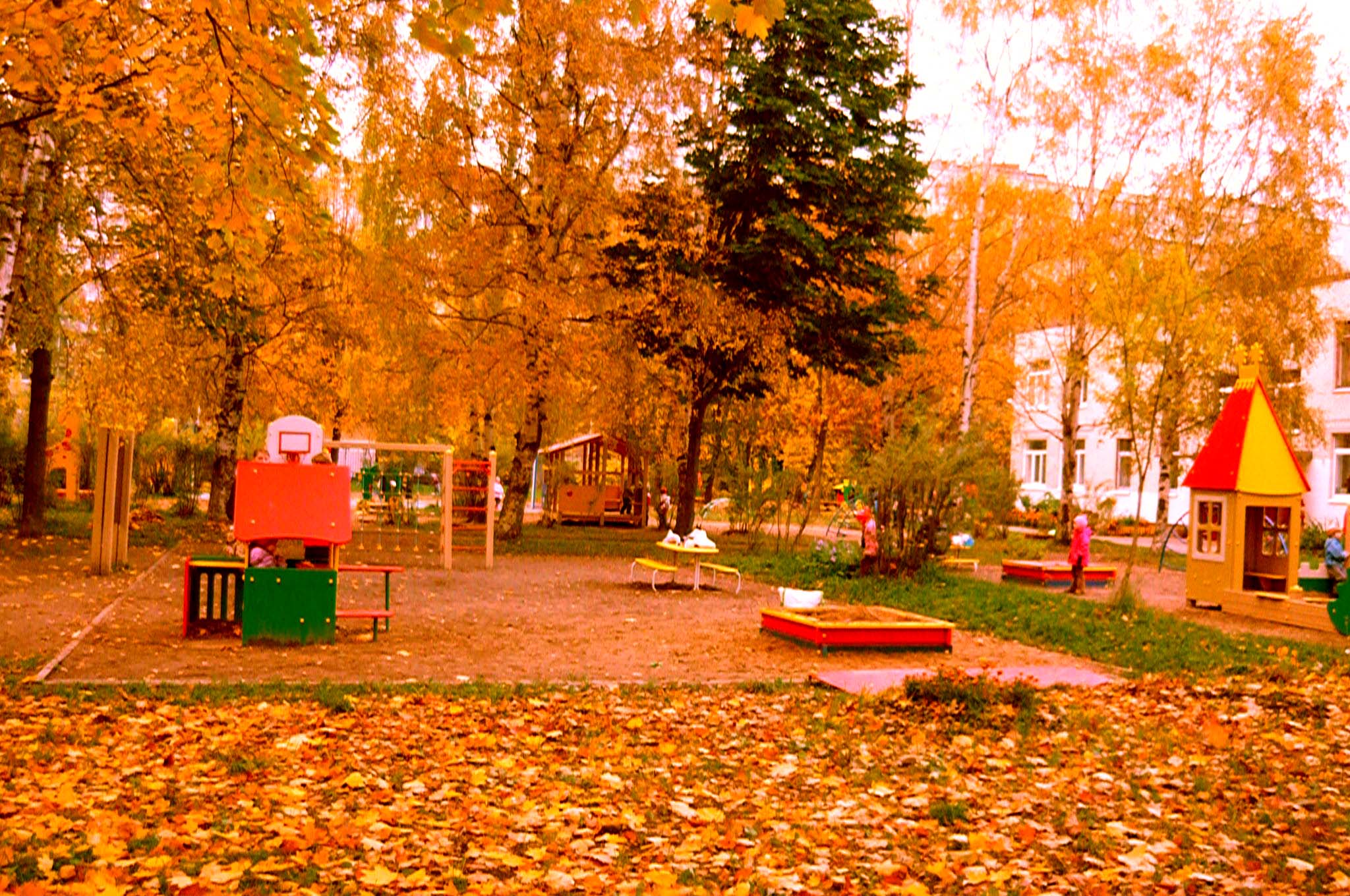 Autumn at Saint-Peterburg [Alexander Shemetev]