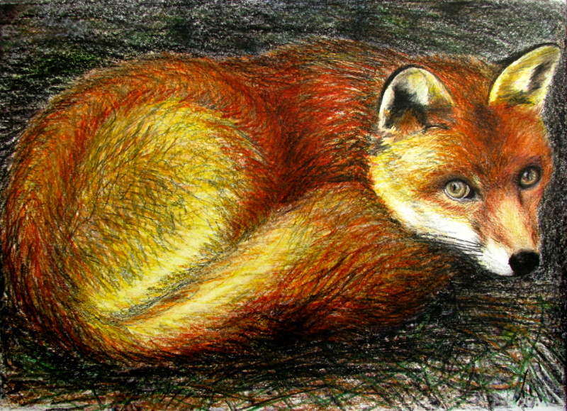 The Woman Who Became a Fox [  ]