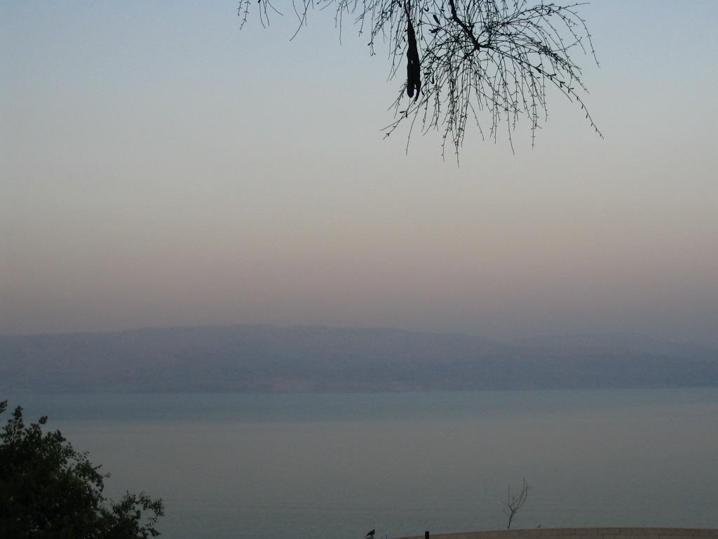 Dead Sea []
