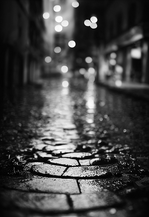 road [�������� ������]