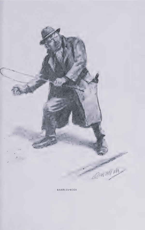  width=