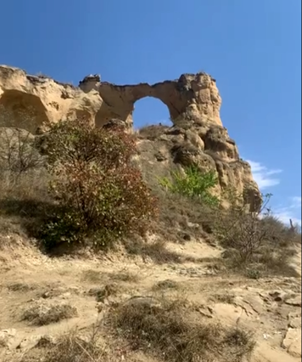 ��������������������(���������2024)����