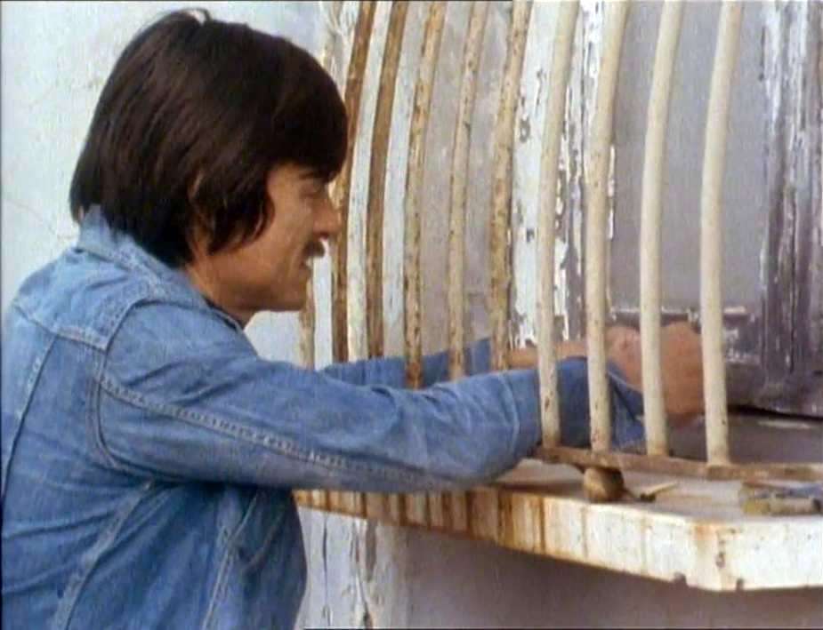 ����� �����������