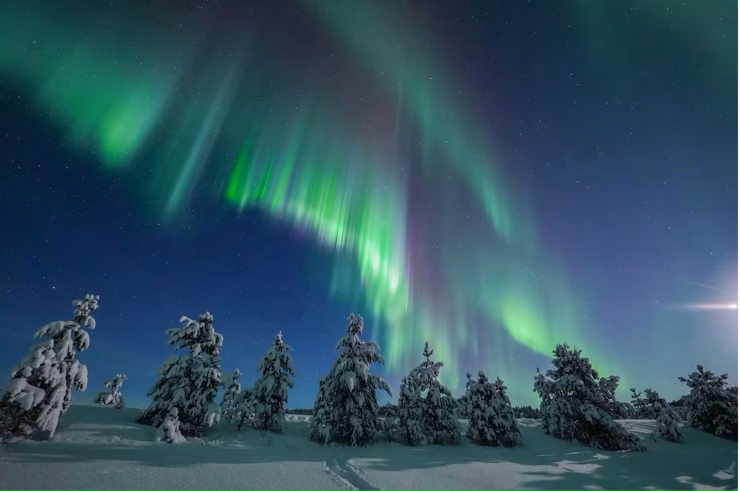 ���� [��������]