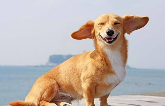  []