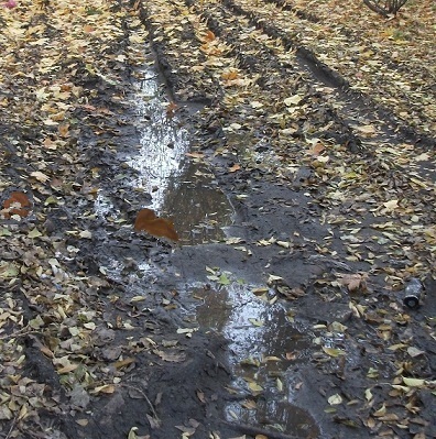 ������� ������