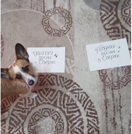  []