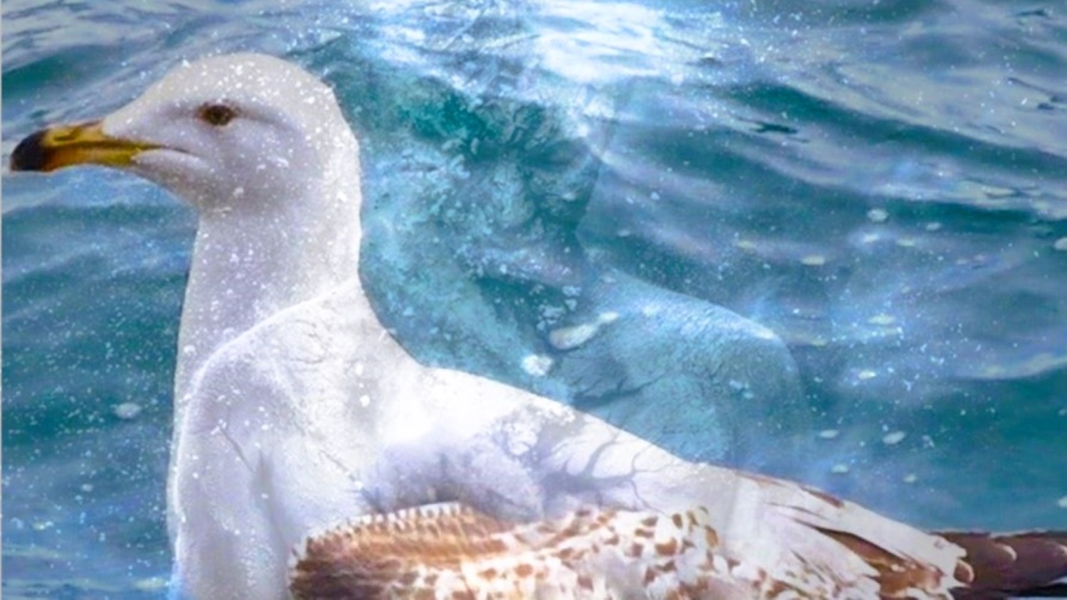 ����� [����� �.�.]