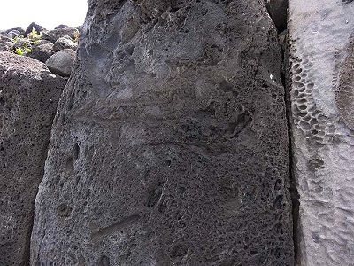 ������������� �����  [�. �������]