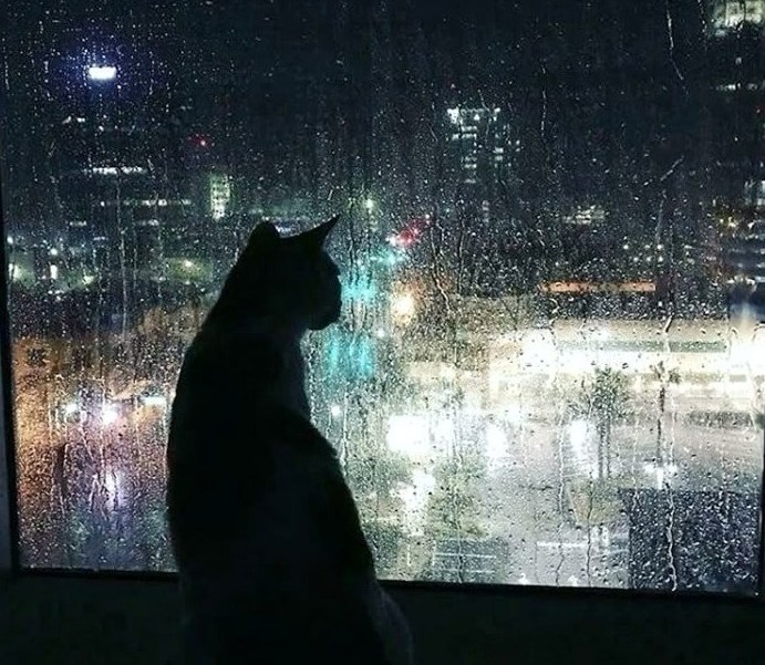    . [.]