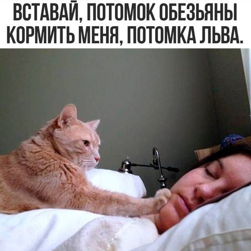  []