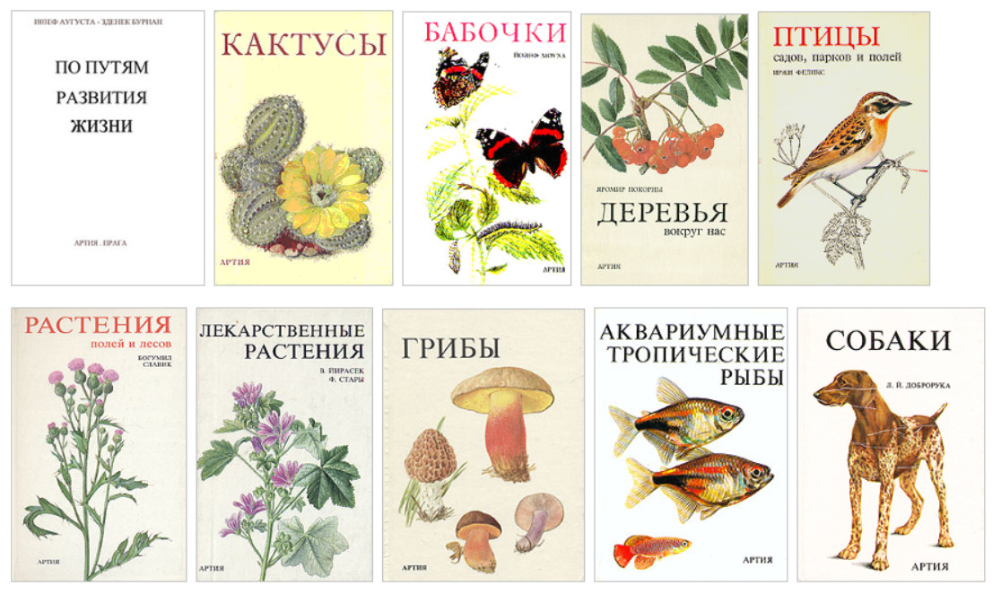 ��� ������� (14) 1-10 [���]