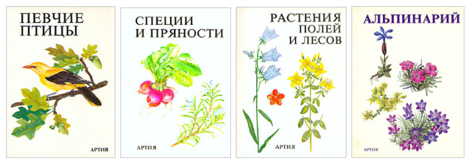 ��� ������� (14) 11-14 [���]