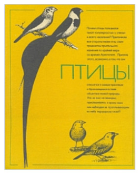�����_1983 = ������� [���]