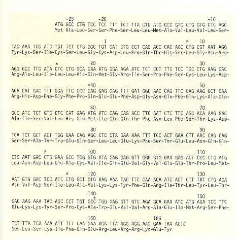  [�.�.�����]