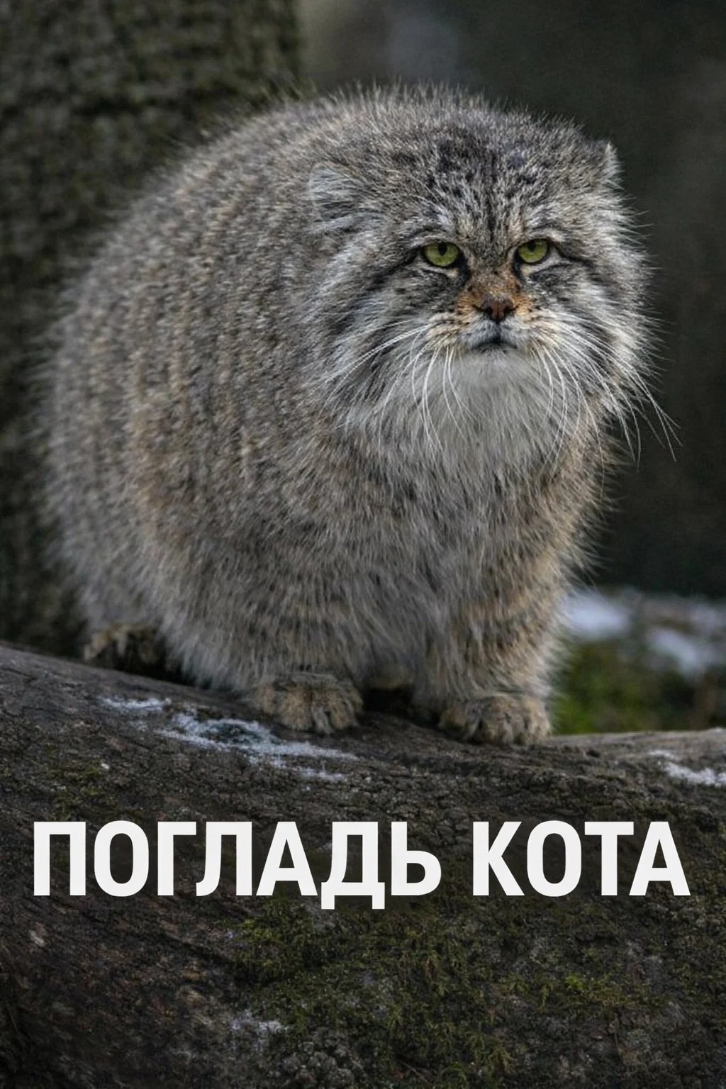  []