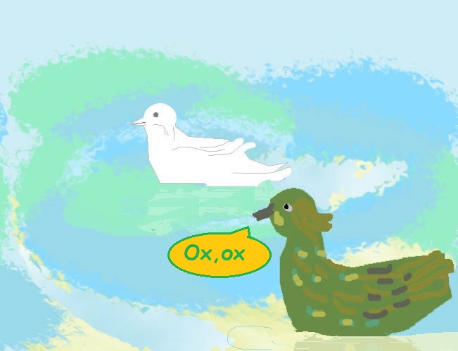 0x01 graphic