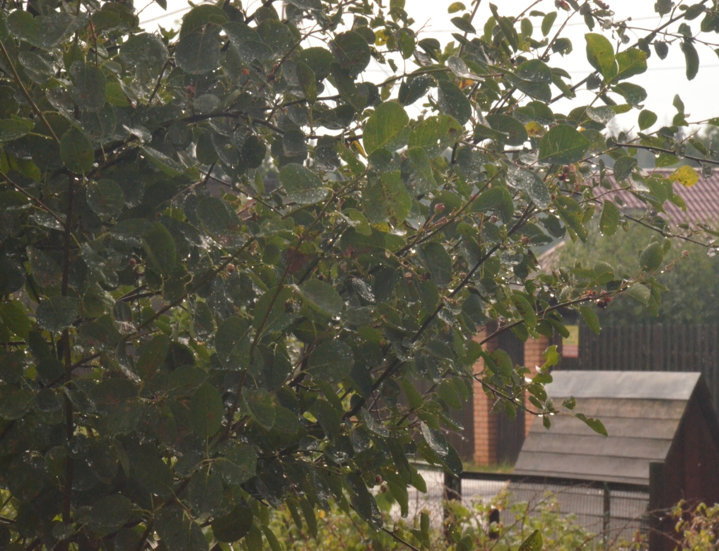 D:\Копия диска Д 01.03.2022 НЕ УДАЛЯТЬ!\Фото с никона\2024\DSC_8105.JPG