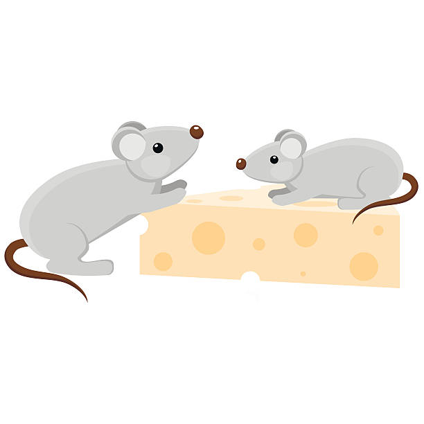 https://media.istockphoto.com/vectors/two-cartoon-mouses-with-a-piece-of-cheese-vector-id520650250?k=6&m=520650250&s=612x612&w=0&h=Y74lH_HpyPq1yrLu3mcsimFCjM3jtfEpbfY_IibRiRc=