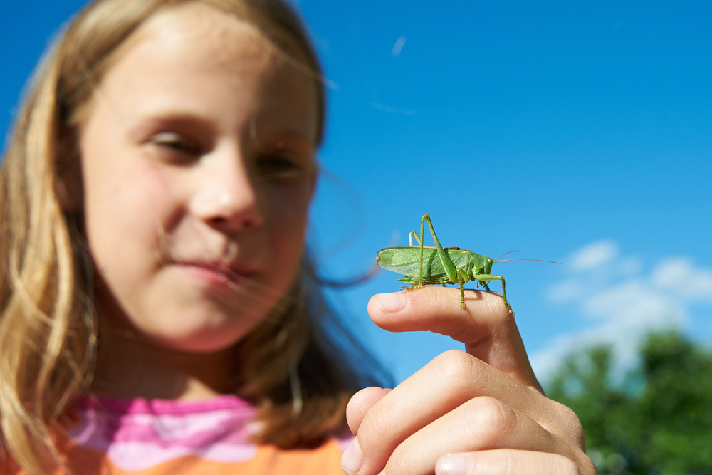 https://www.theexeterdaily.co.uk/sites/default/files/field/image/child%20grasshoper%20shutterstock_209183563.jpg