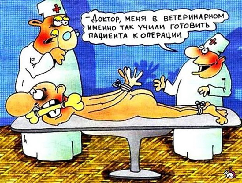 http://zverideti.ru/wp-content/uploads/2016/08/1346752177_0a49430a5b18_resize.jpg