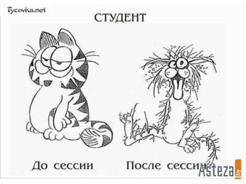 Picture background