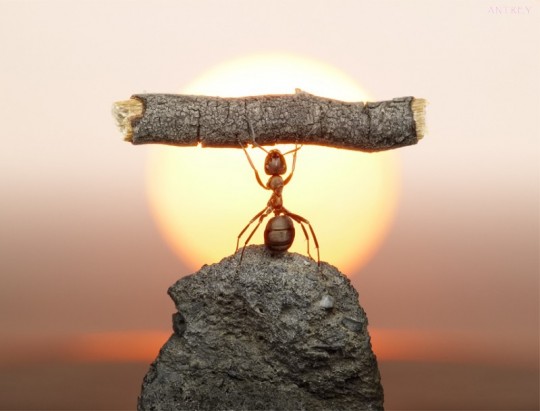 http://www.liveexpert.ru/public/uploads/2014/04/09/0f56cf19f3c4074e5b2bb724dc6d3154.jpg